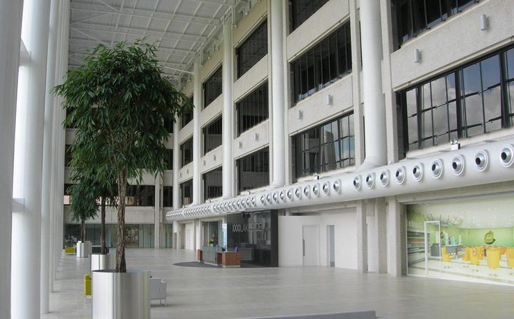 Banner Image 1