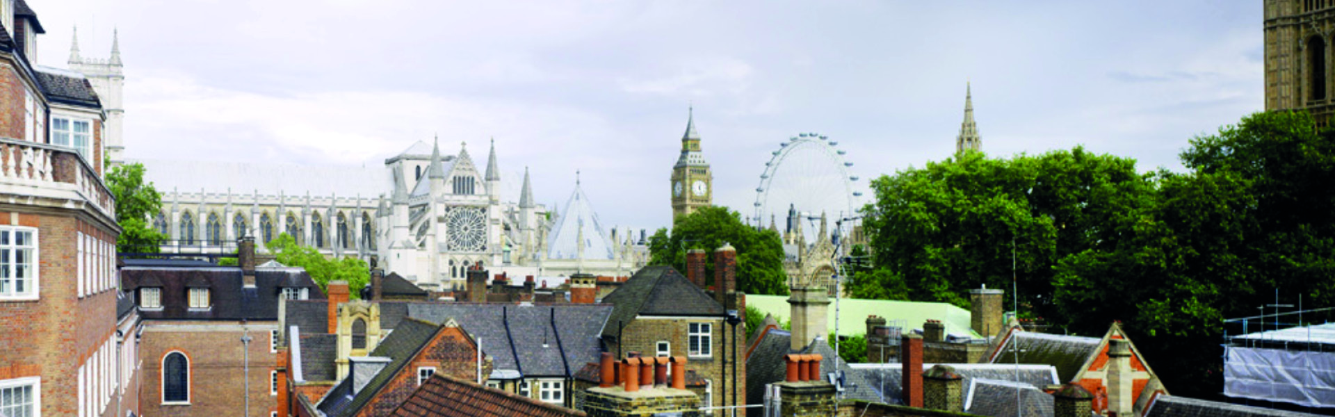 Banner Image 3